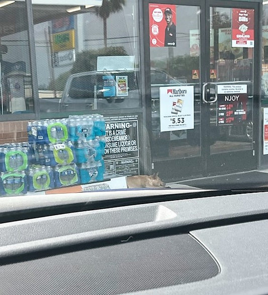 The Gas Station Adventure