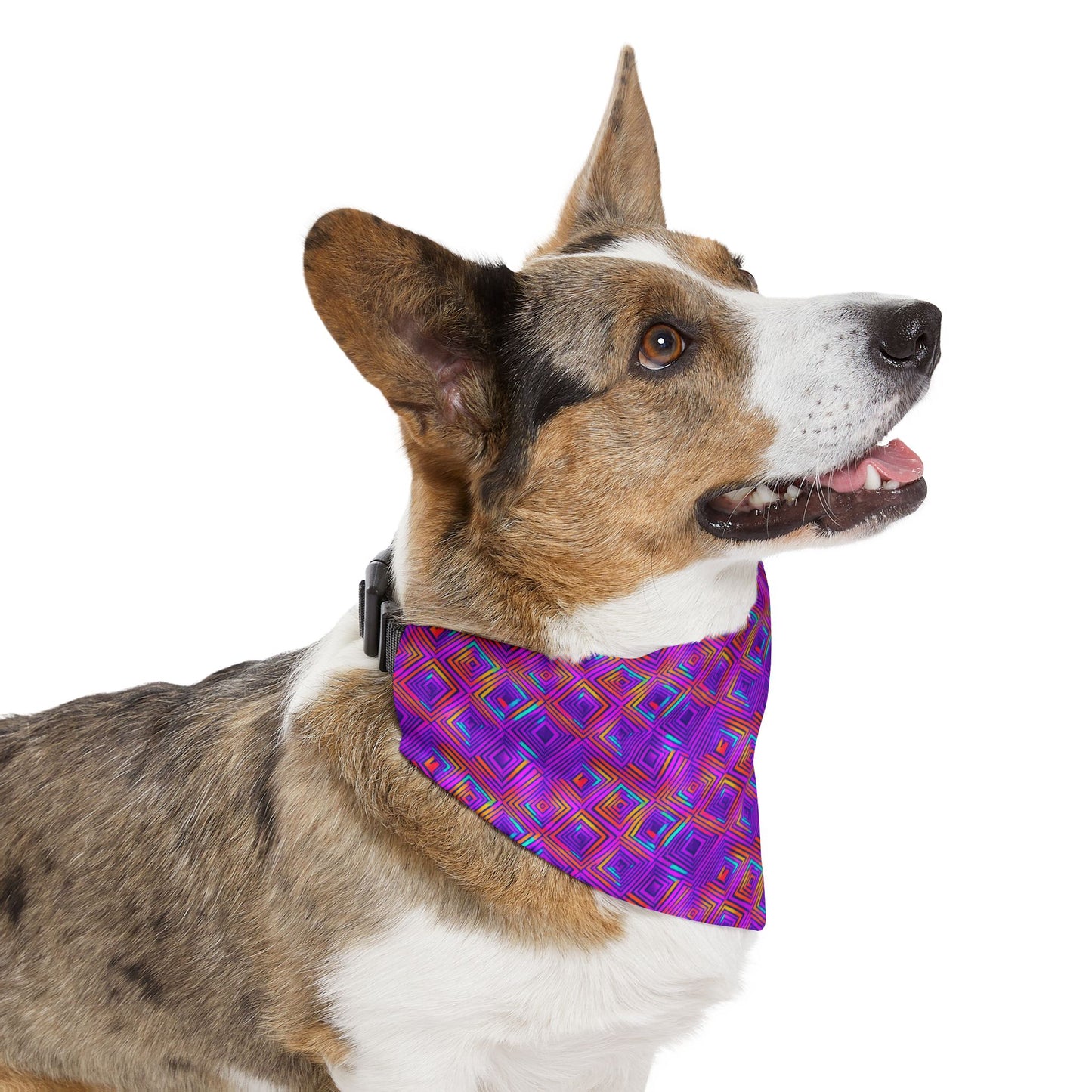 Color Gems Pet Bandana Collar