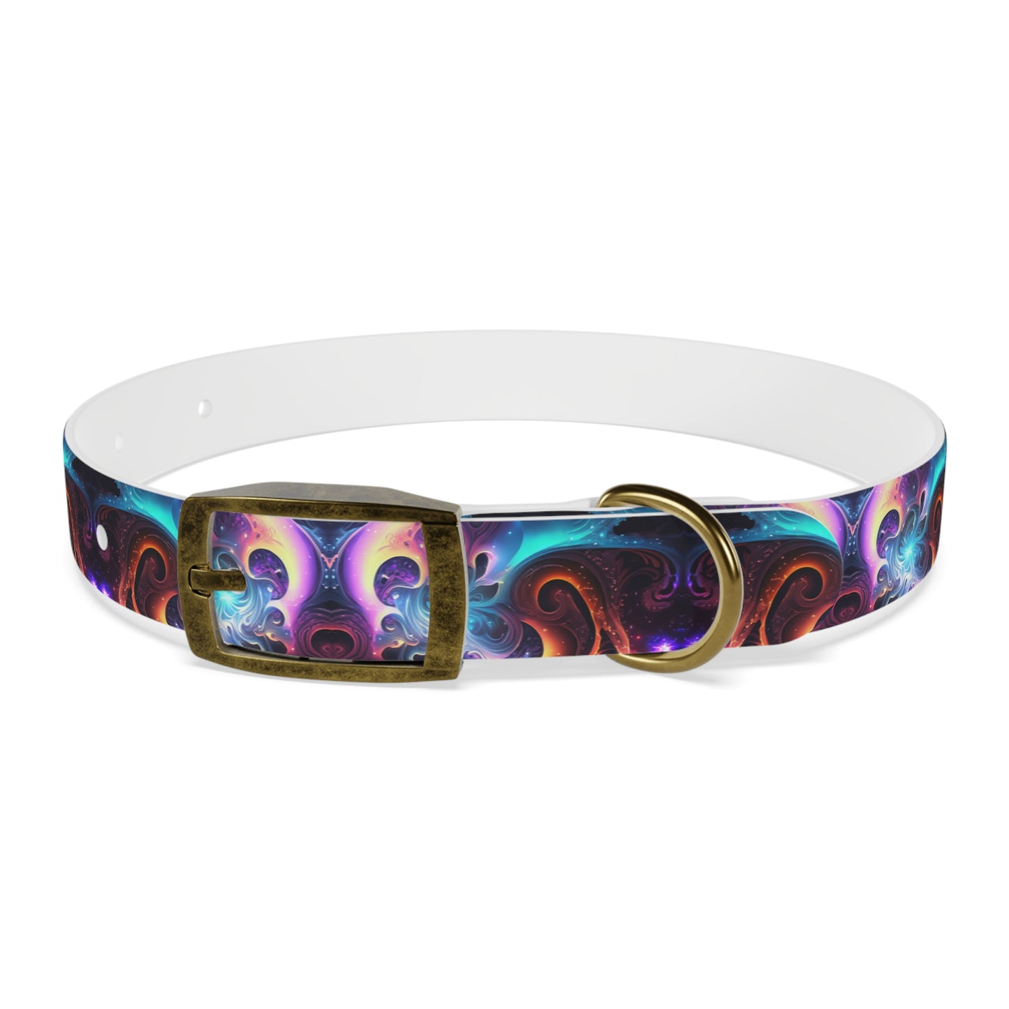 Neon Spiral Dog Collar