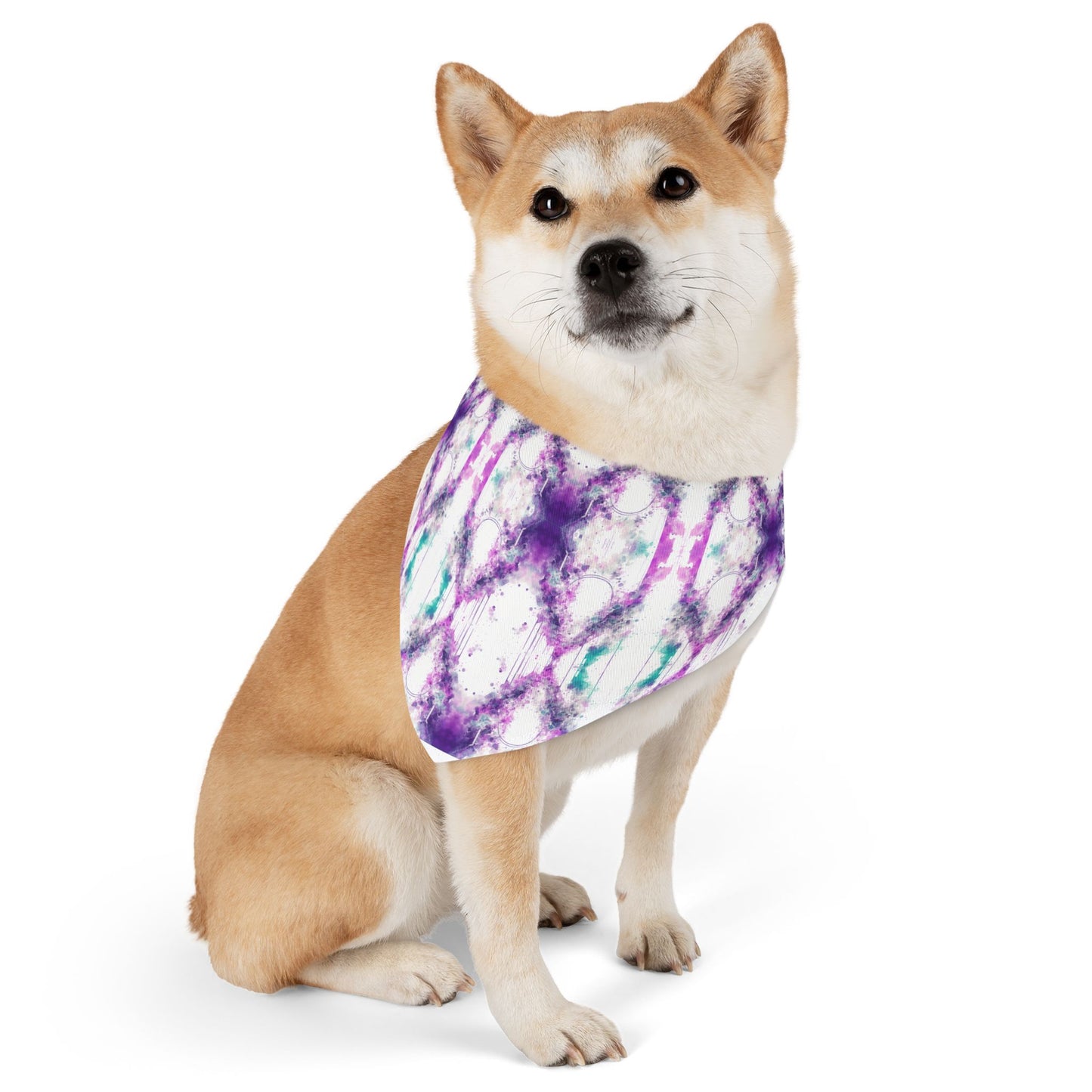 Creative Chaos Pet Bandana Collar