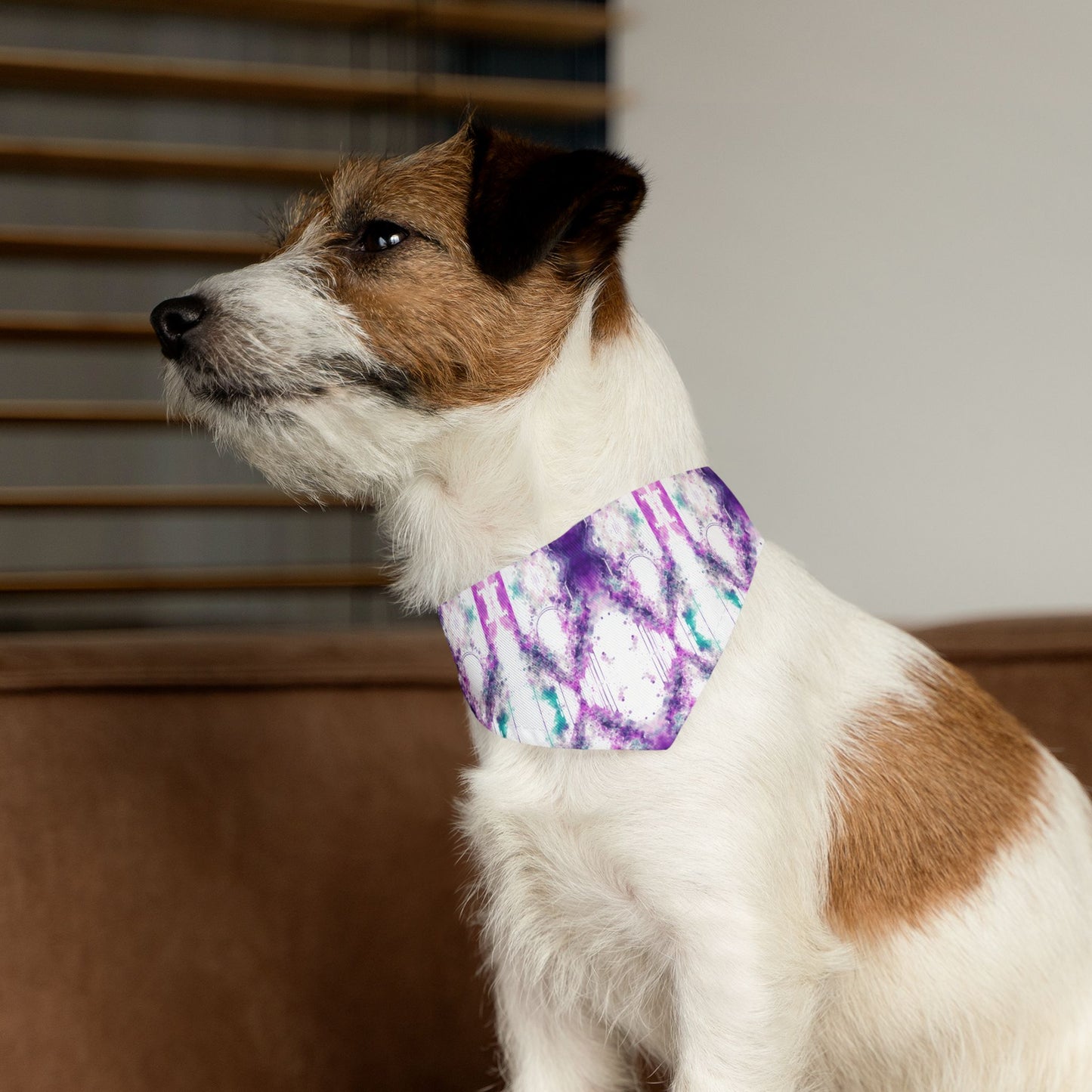 Creative Chaos Pet Bandana Collar