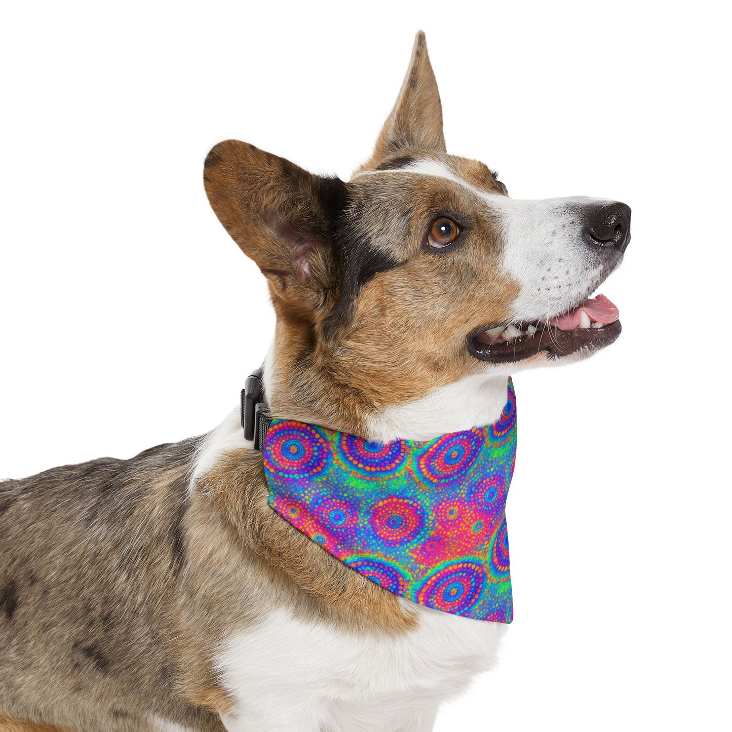 Poly Glow Pet Bandana Collar