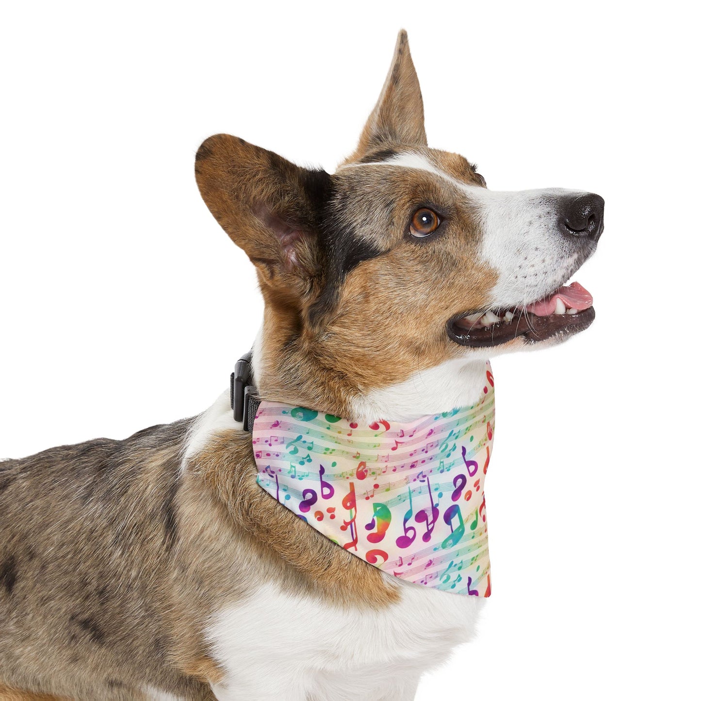 Vivid Vibrato Pet Bandana Collar