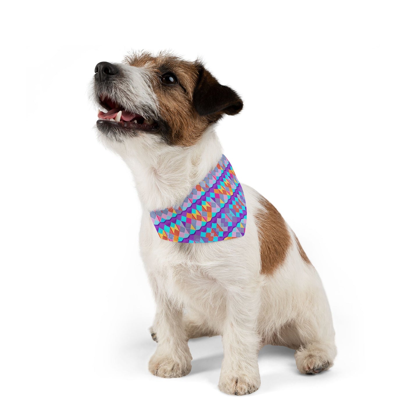 Prismatic Patterns Pet Bandana Collar