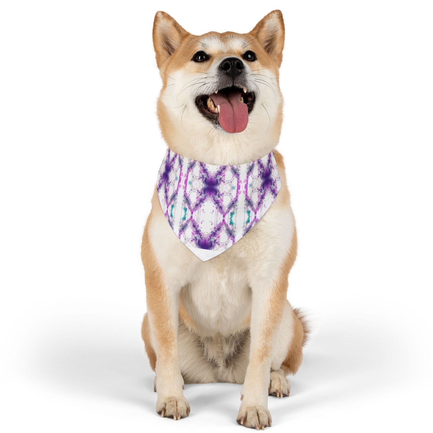 Creative Chaos Pet Bandana Collar