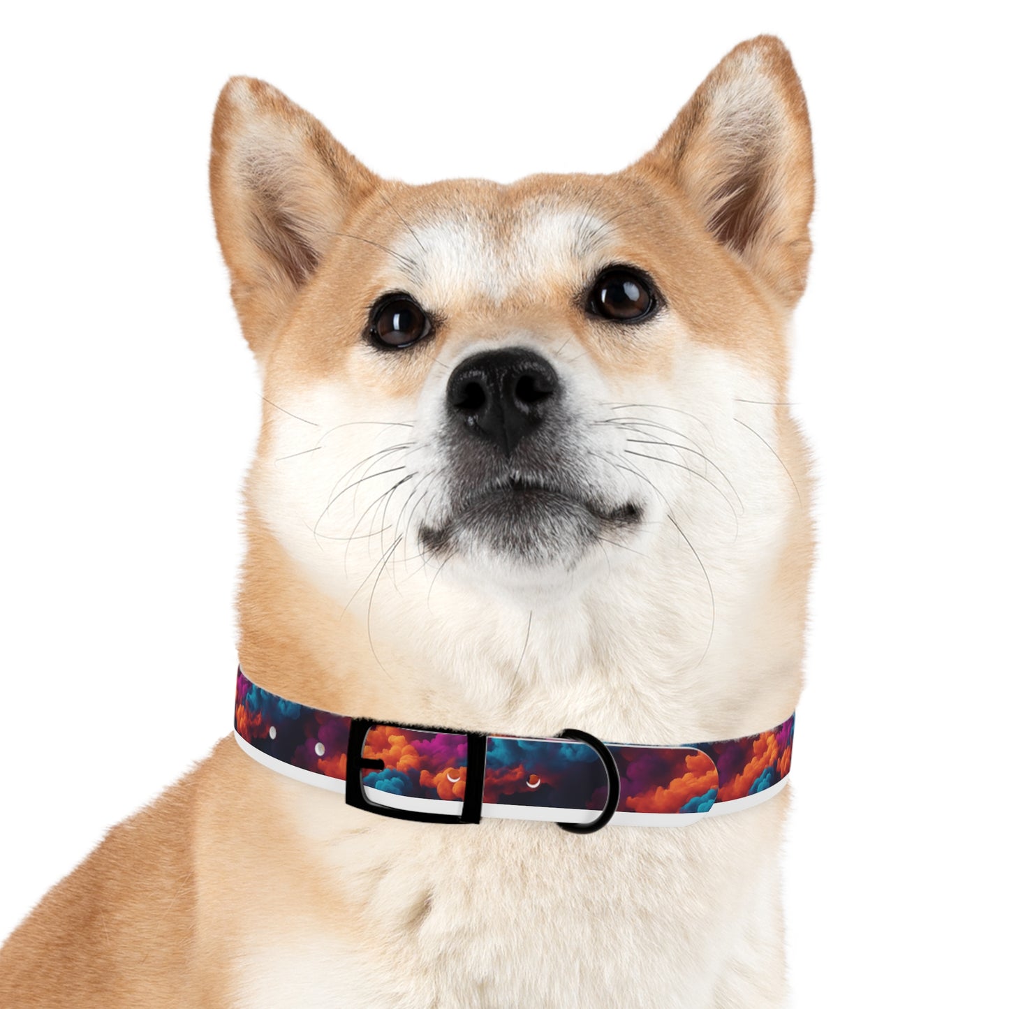 Groovy Geometrics Dog Collar