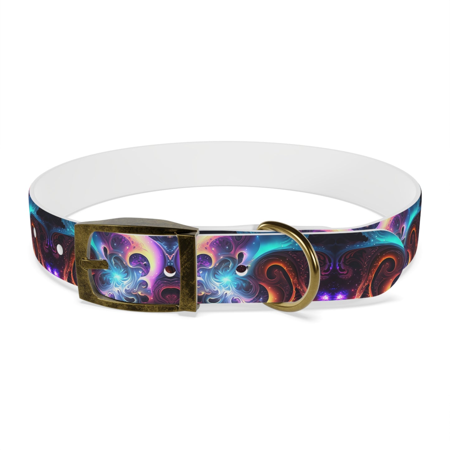 Neon Spiral Dog Collar