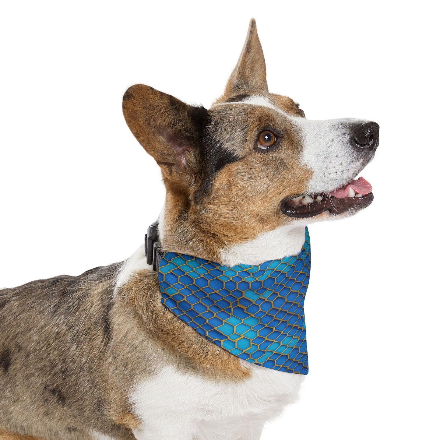 Hexagonal Harmony Pet Bandana Collar