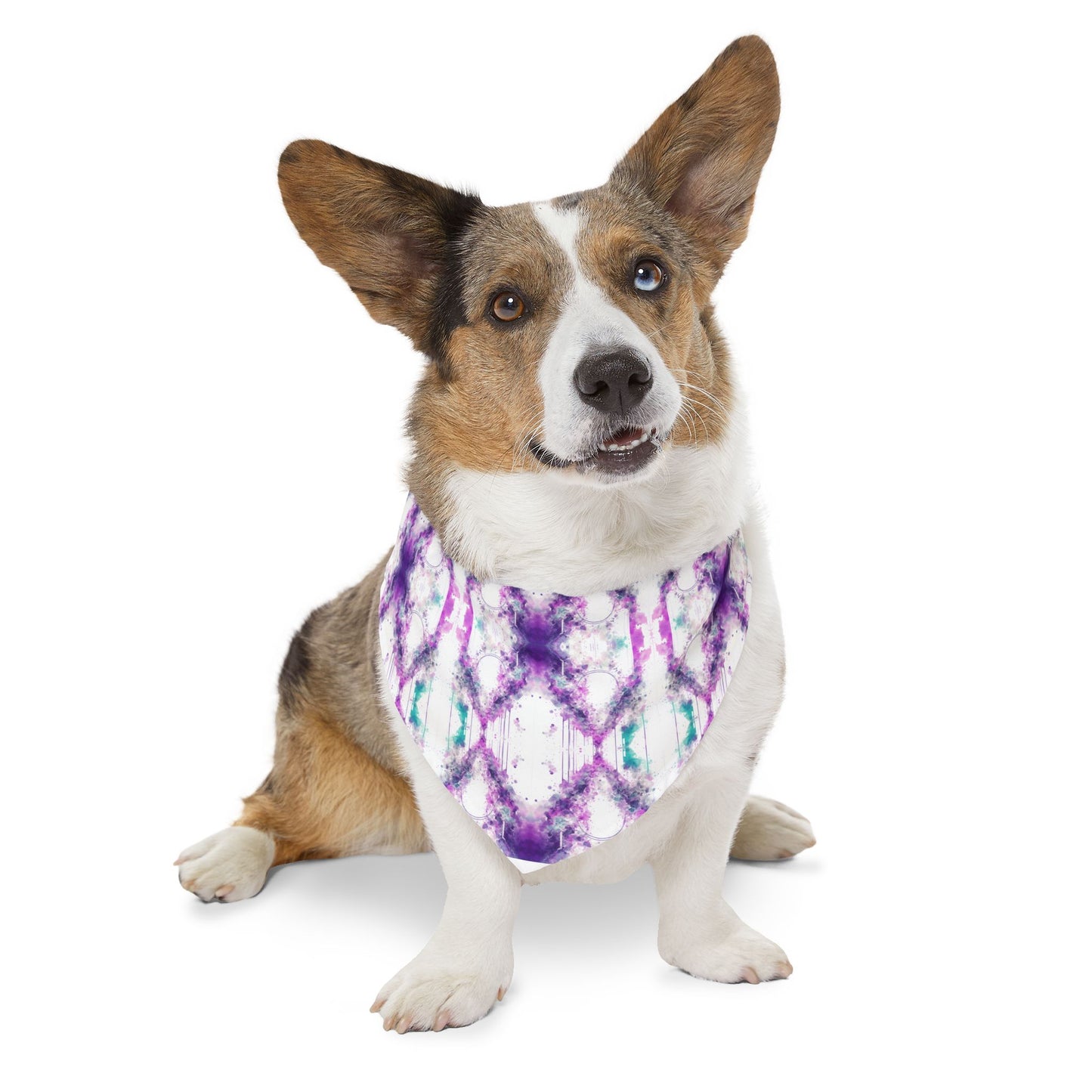 Creative Chaos Pet Bandana Collar