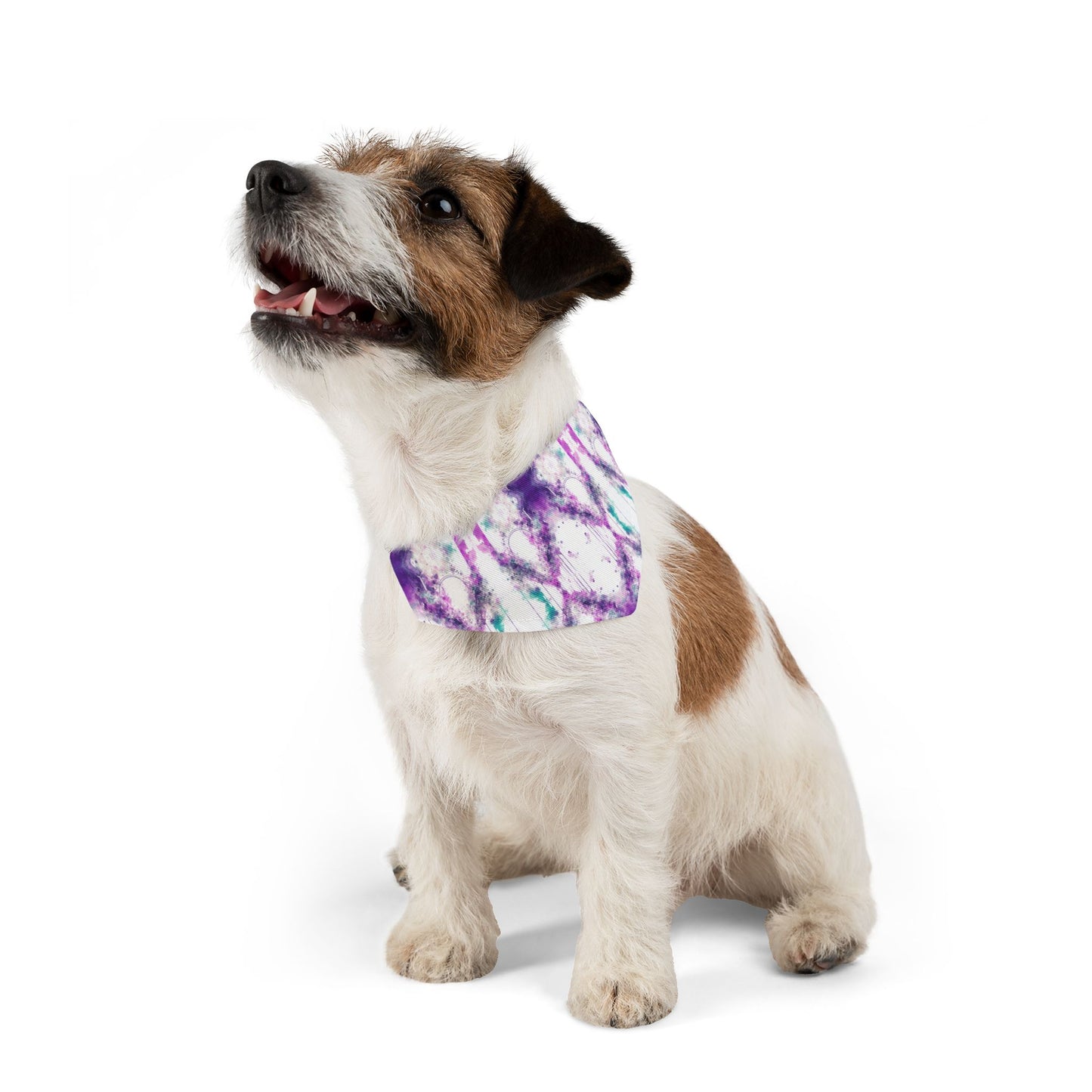 Creative Chaos Pet Bandana Collar