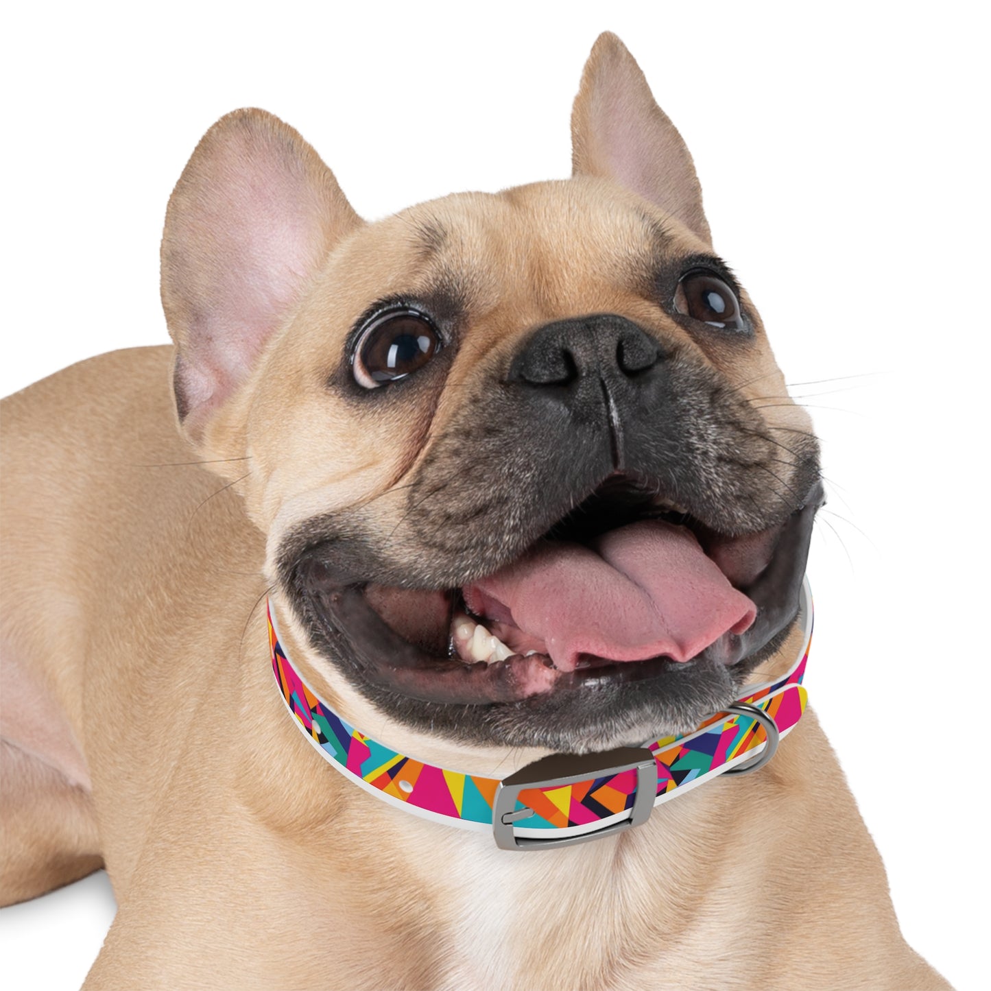 Kaleido Charm Dog Collar