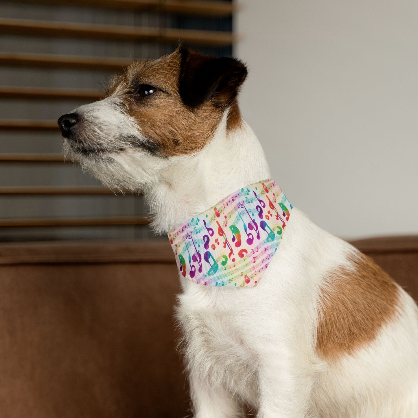 Vivid Vibrato Pet Bandana Collar