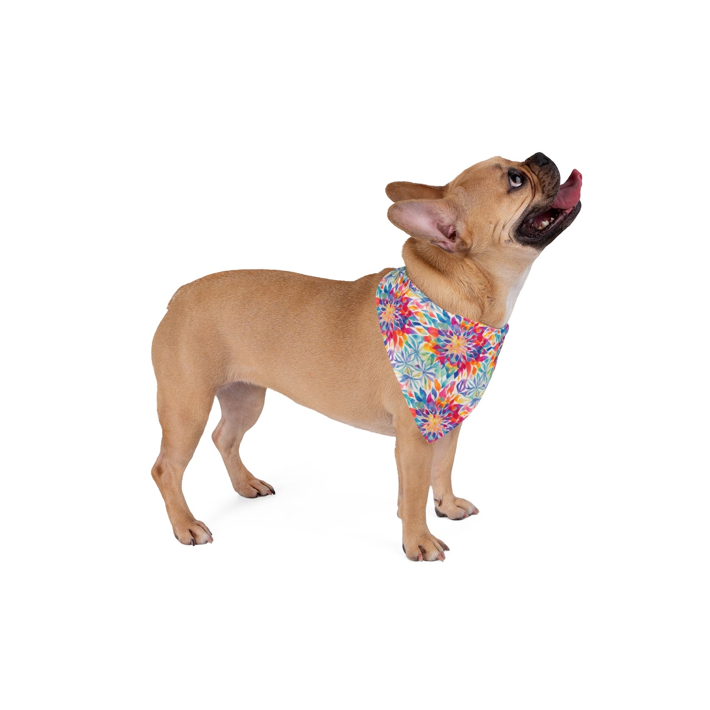 Mandala Mirage Pet Bandana