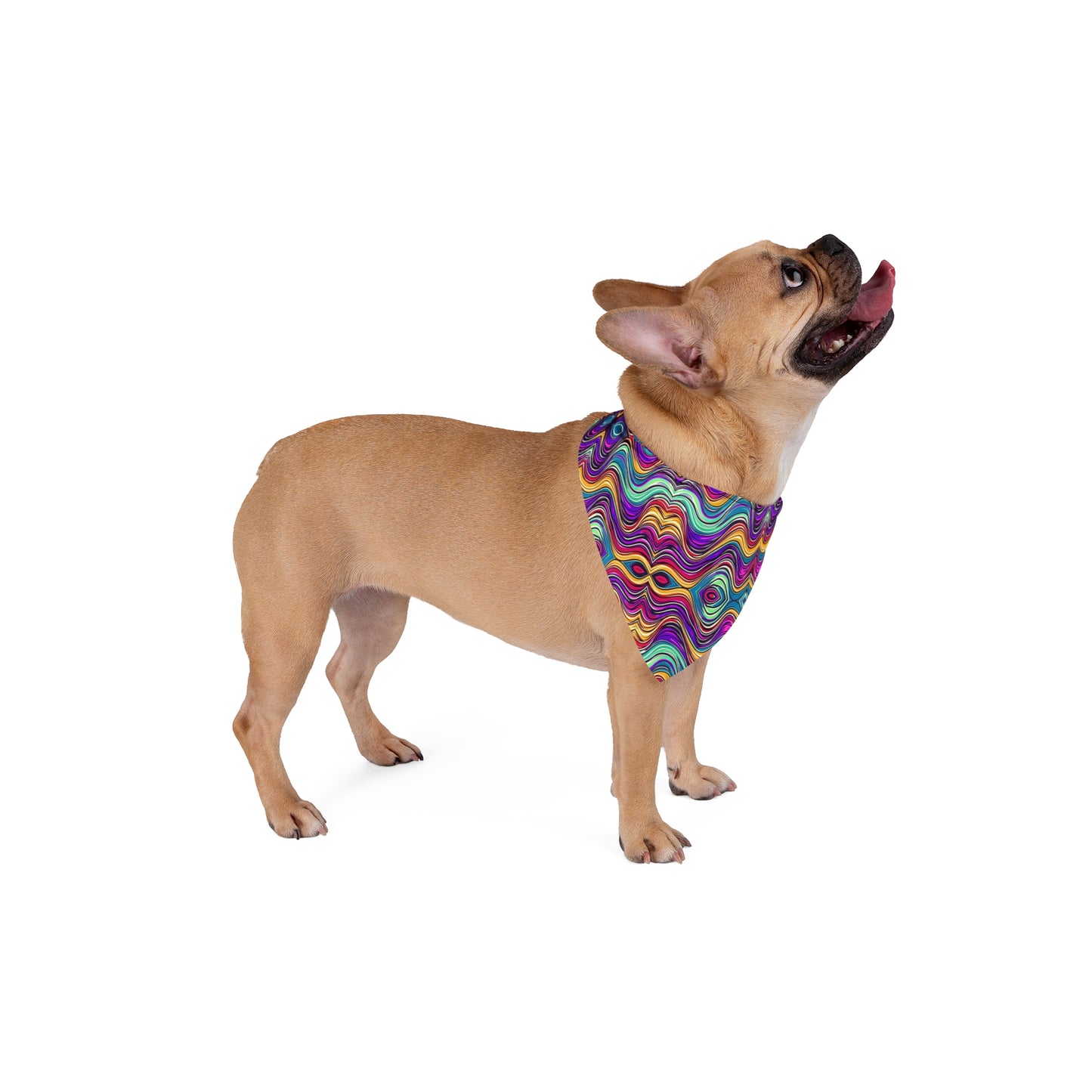 Cosmic Ripple Pet Bandana