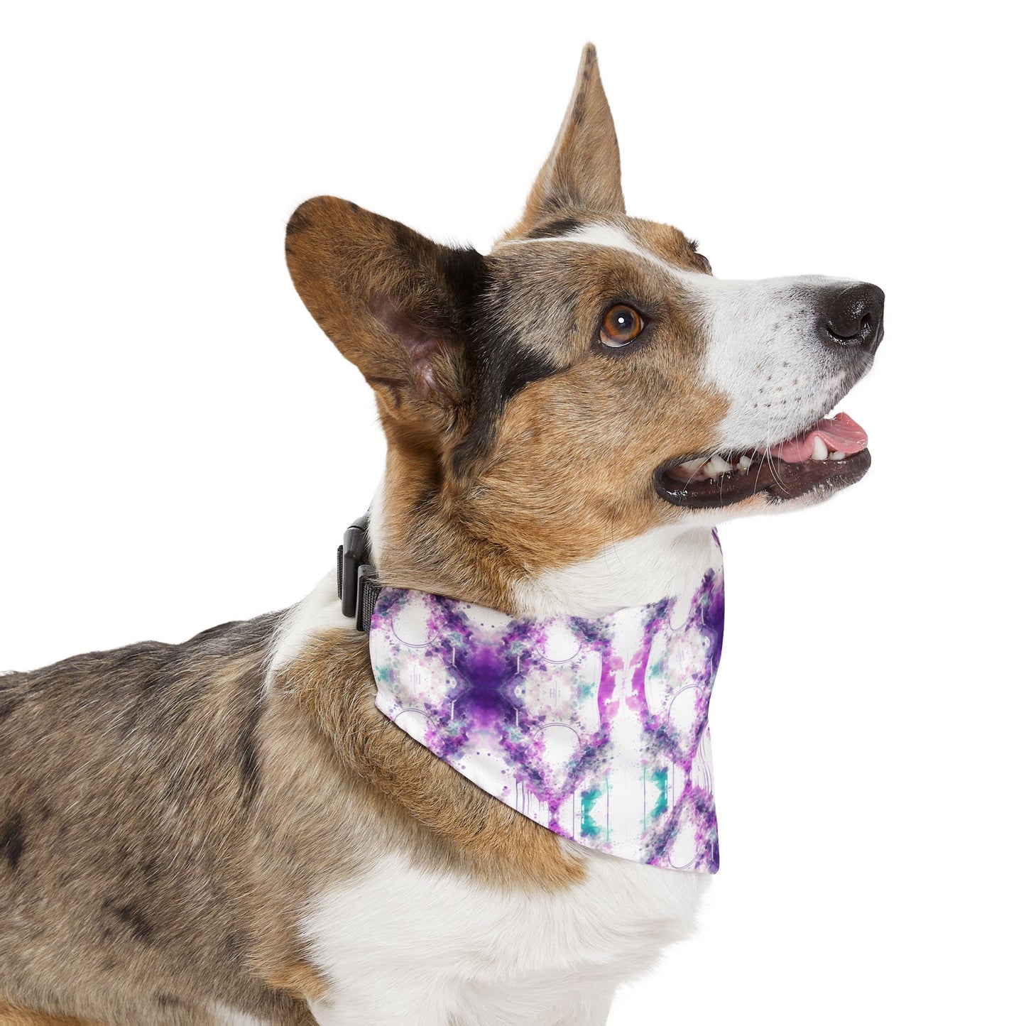 Creative Chaos Pet Bandana Collar