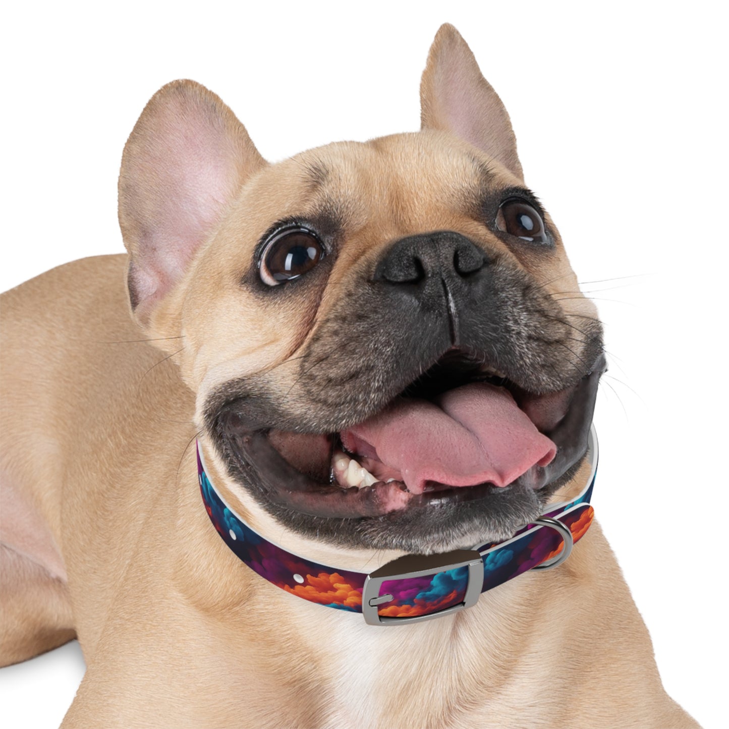 Groovy Geometrics Dog Collar