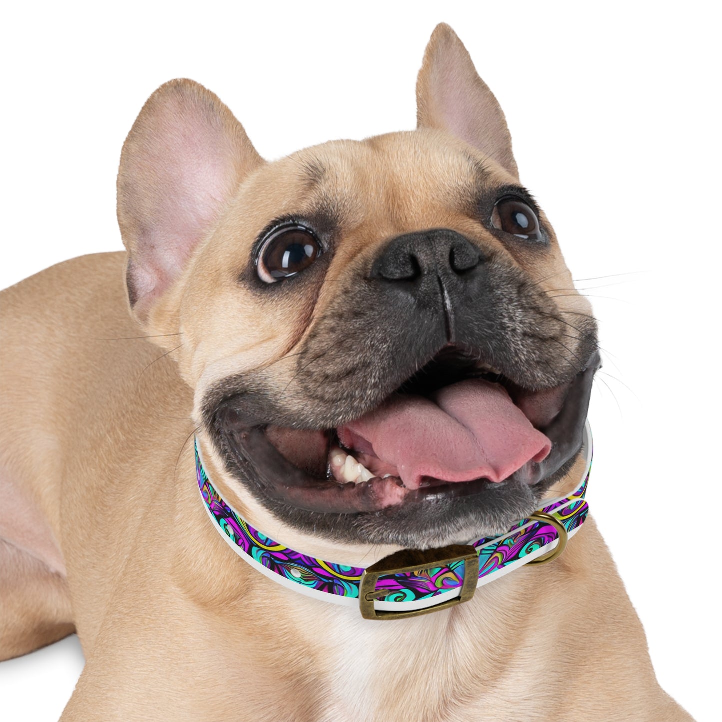 Psychedelic Chaos Dog Collar