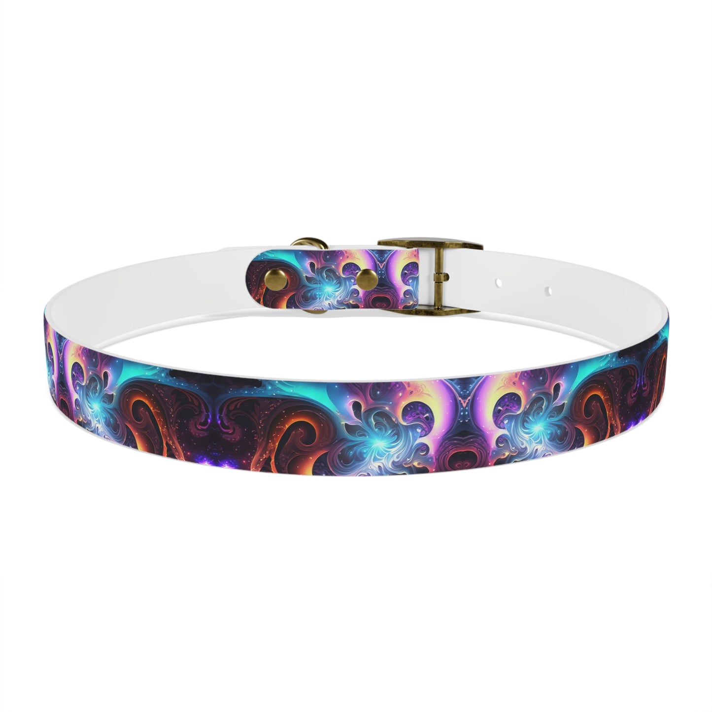 Neon Spiral Dog Collar
