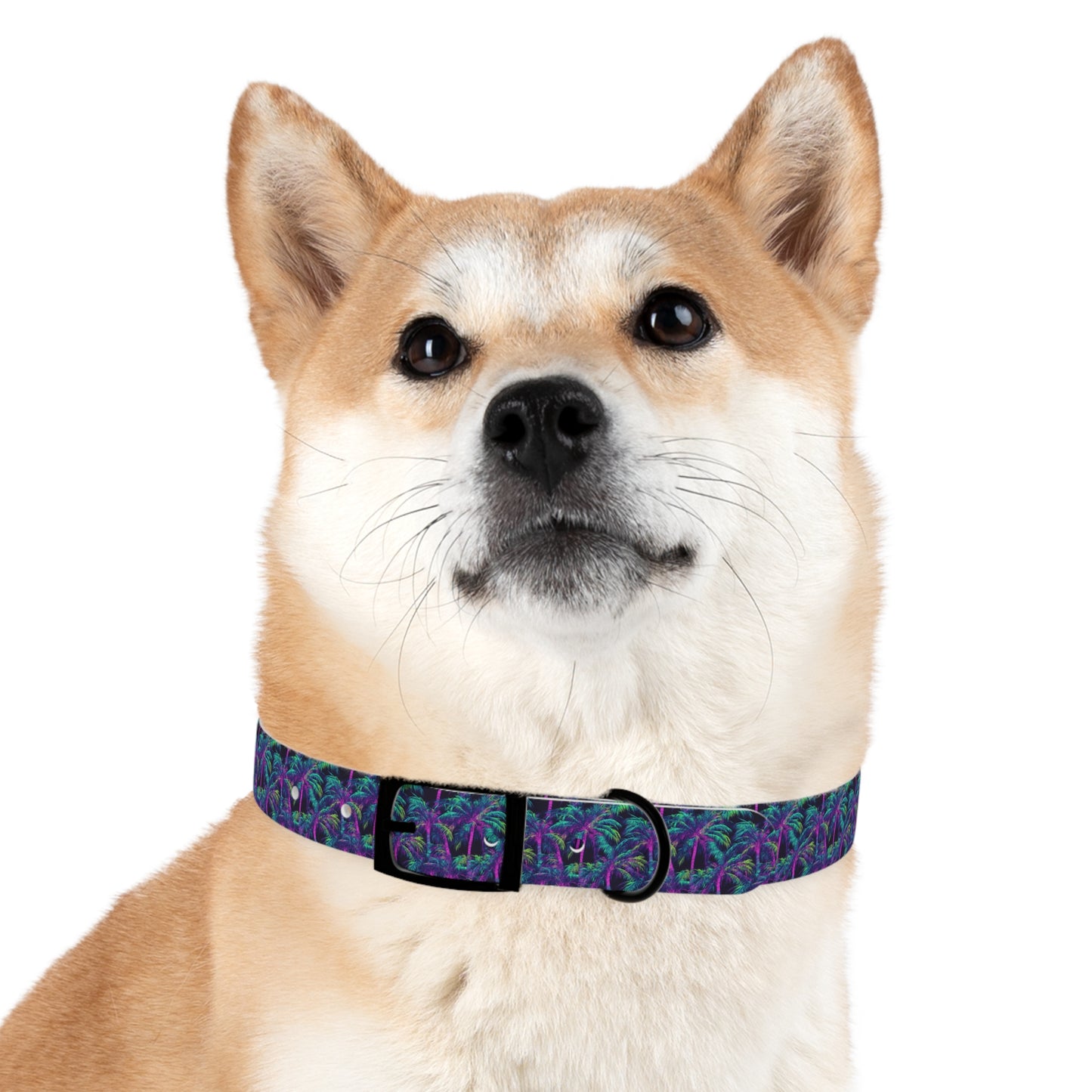 Electric Palms Dog Collar