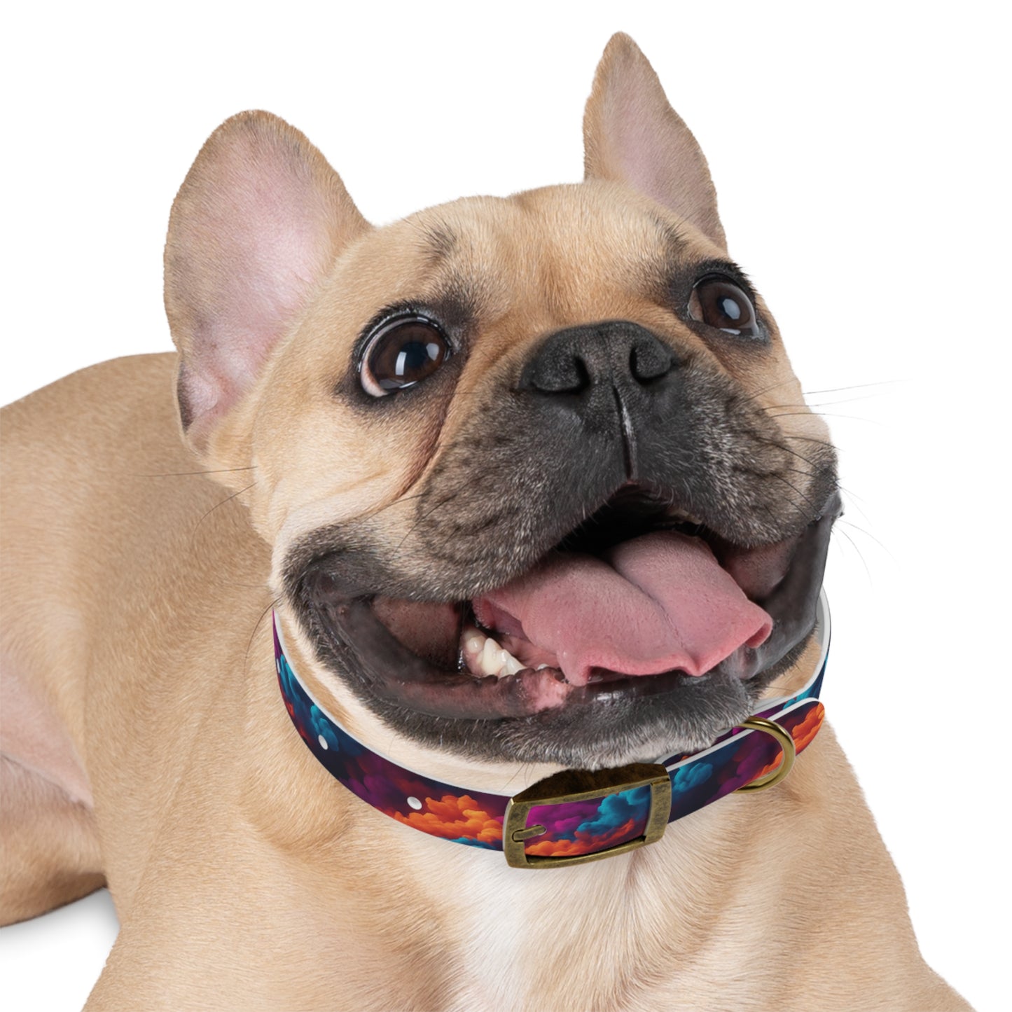 Groovy Geometrics Dog Collar