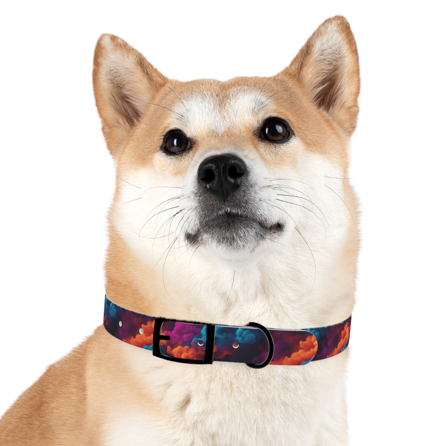 Groovy Geometrics Dog Collar