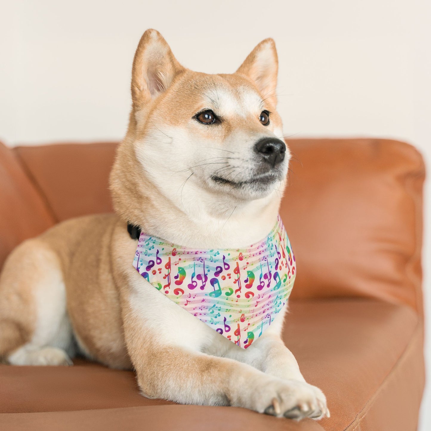 Vivid Vibrato Pet Bandana Collar