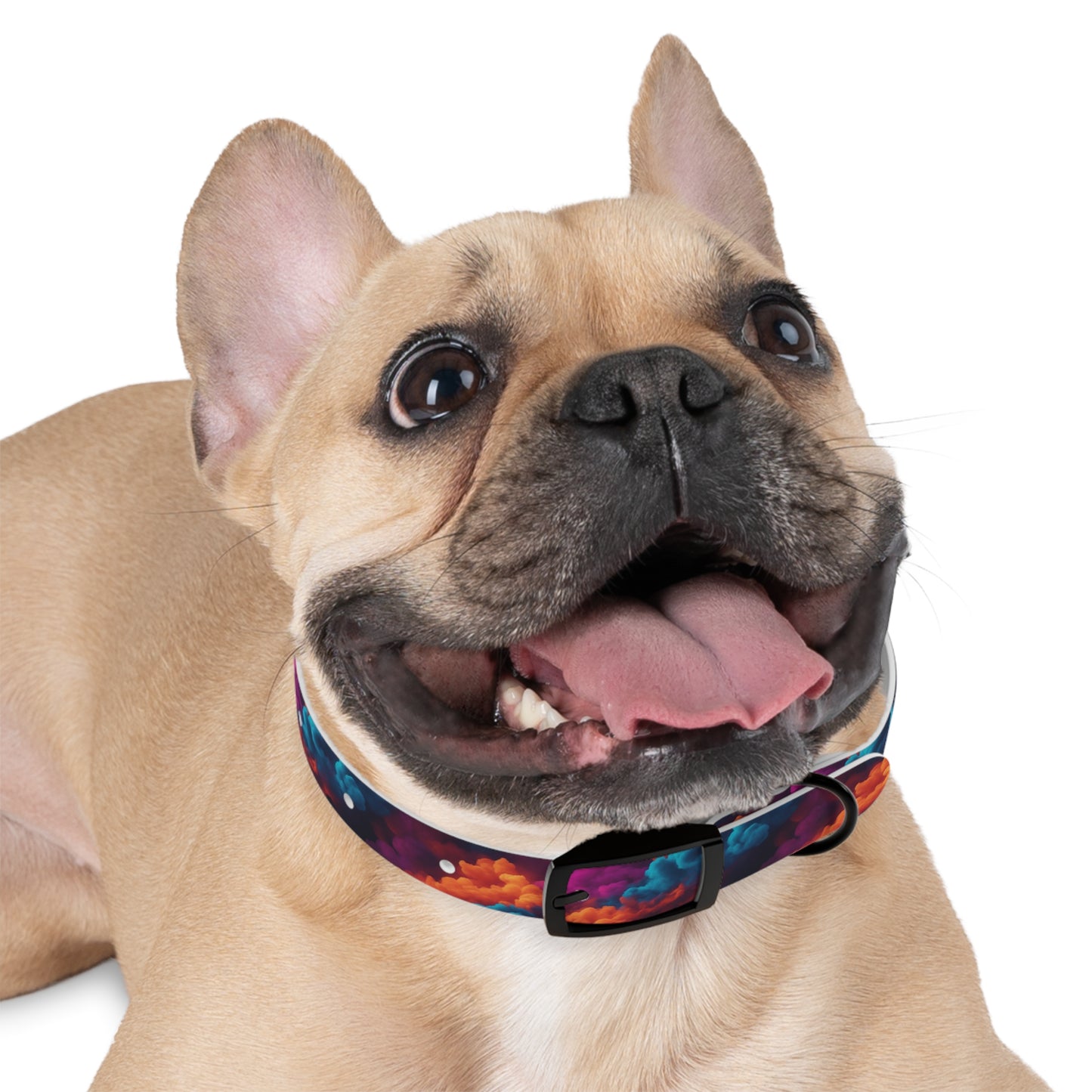 Groovy Geometrics Dog Collar