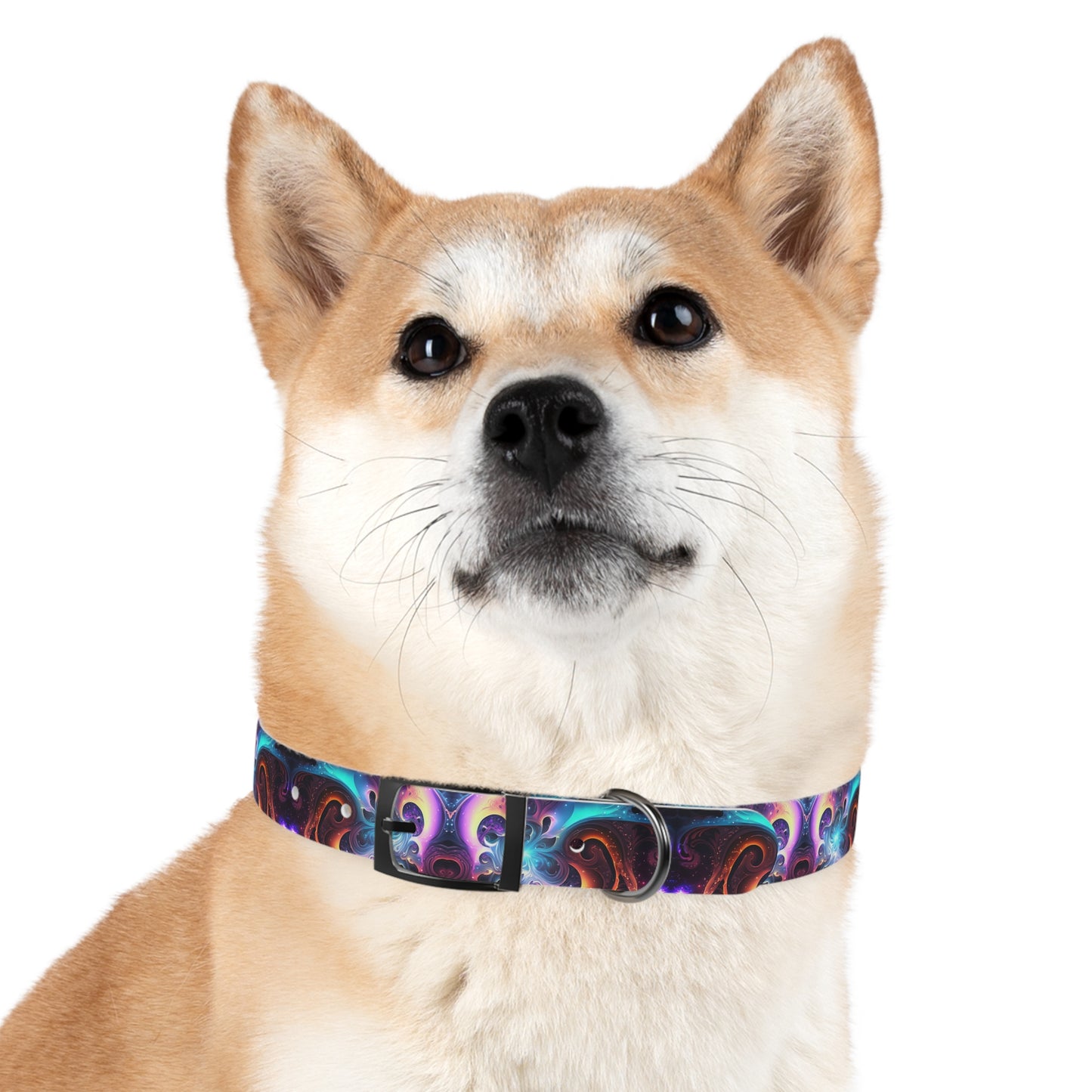 Neon Spiral Dog Collar