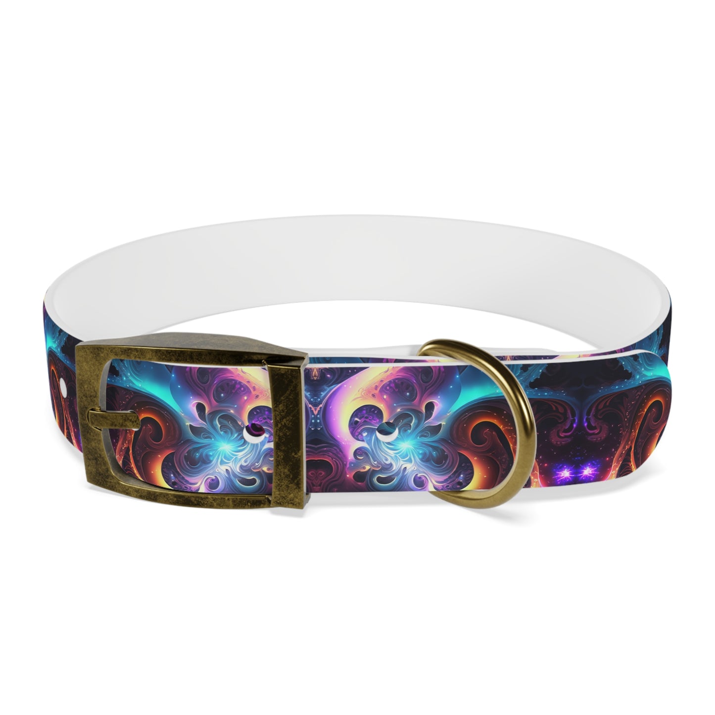 Neon Spiral Dog Collar