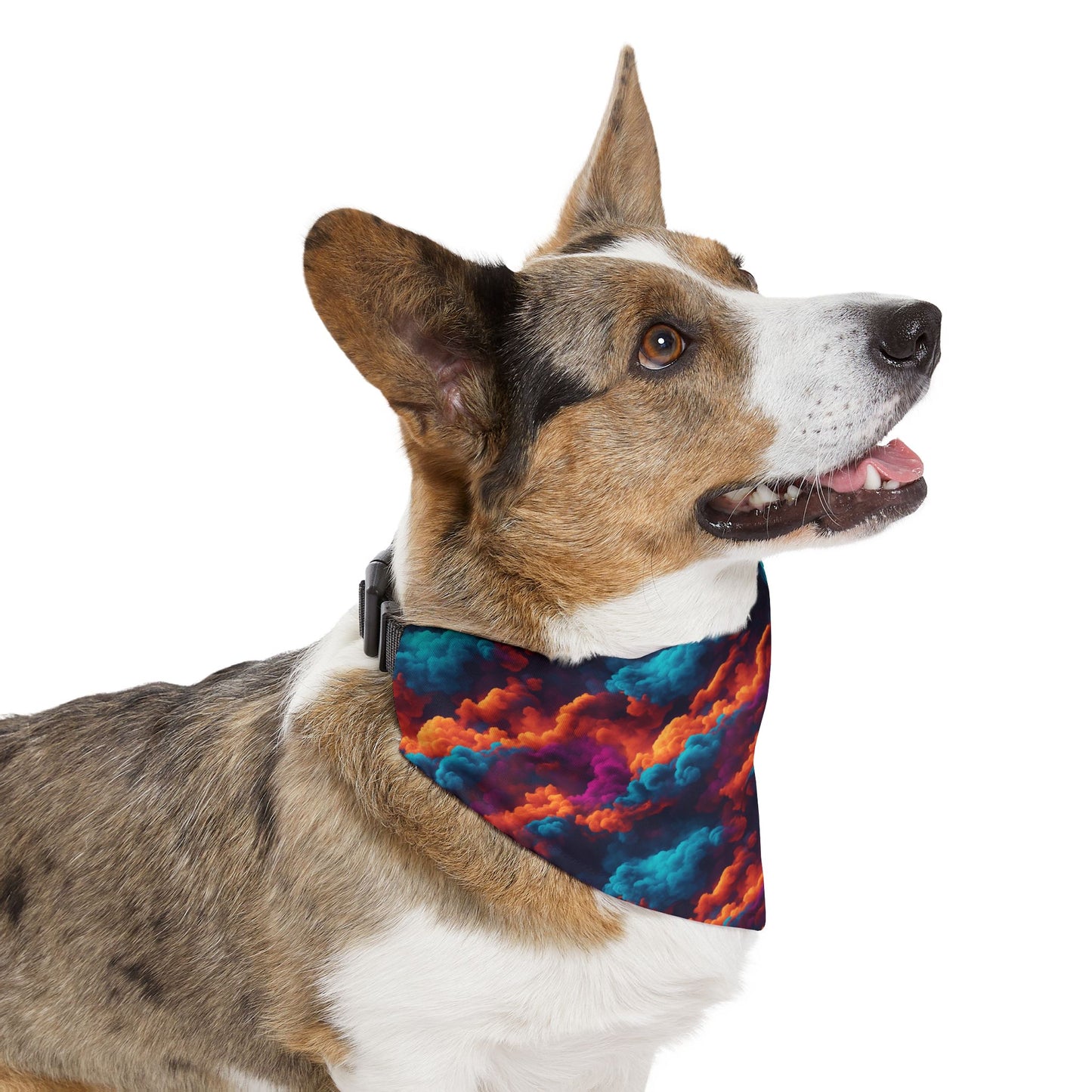 Haxy Harmony Pet Bandana Collar