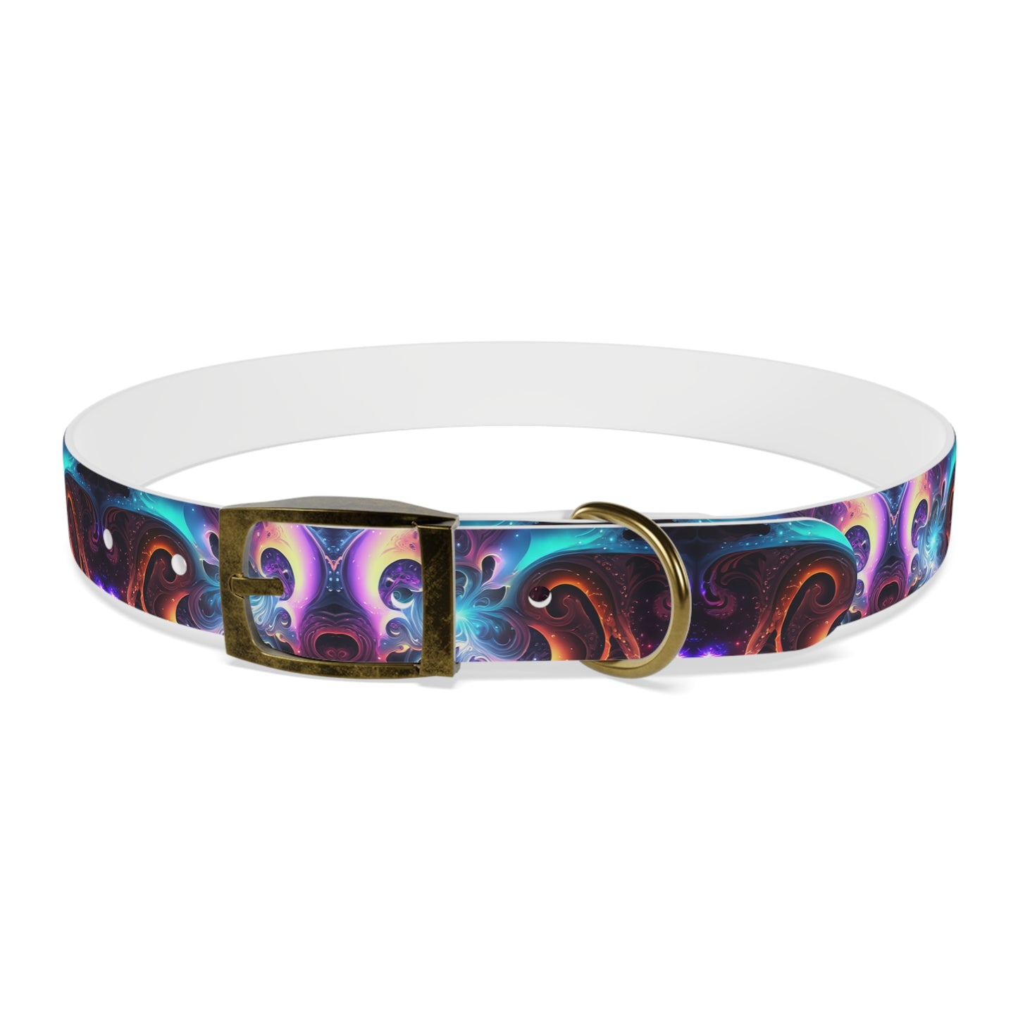 Neon Spiral Dog Collar