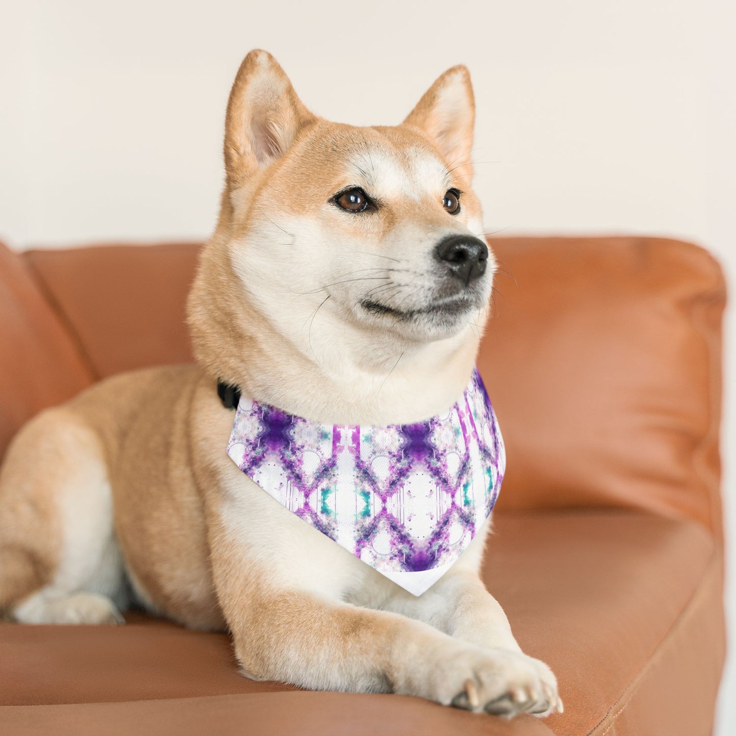 Creative Chaos Pet Bandana Collar