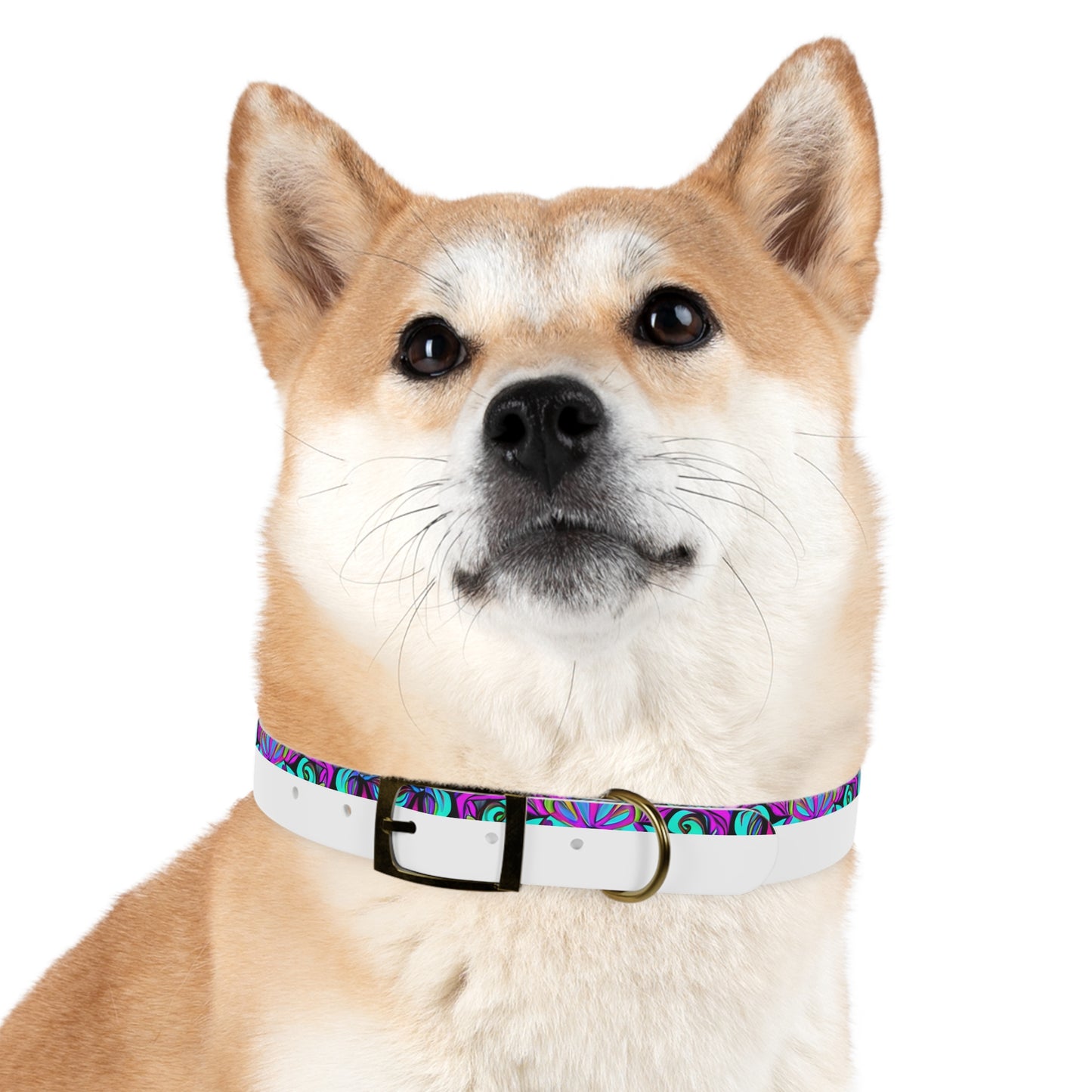 Psychedelic Chaos Dog Collar