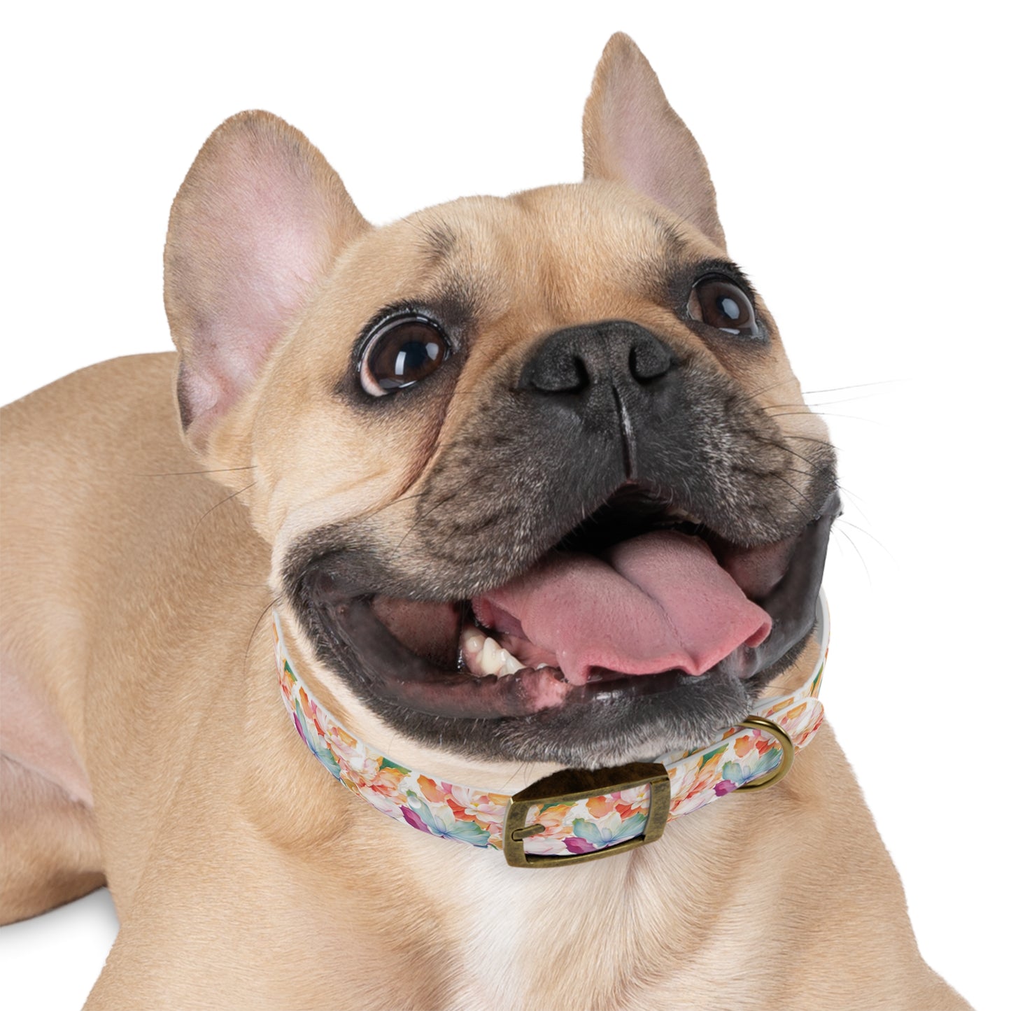 Botanical Bliss Dog Collar