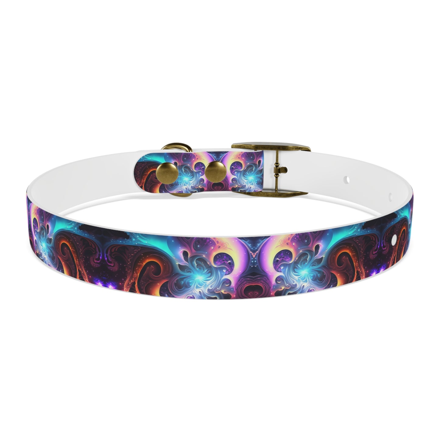 Neon Spiral Dog Collar