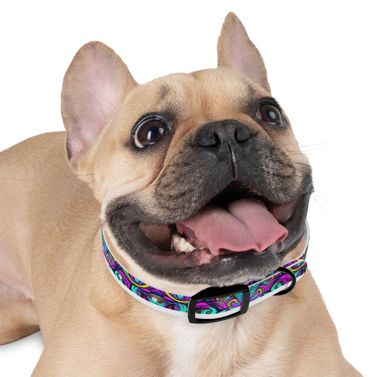 Psychedelic Chaos Dog Collar