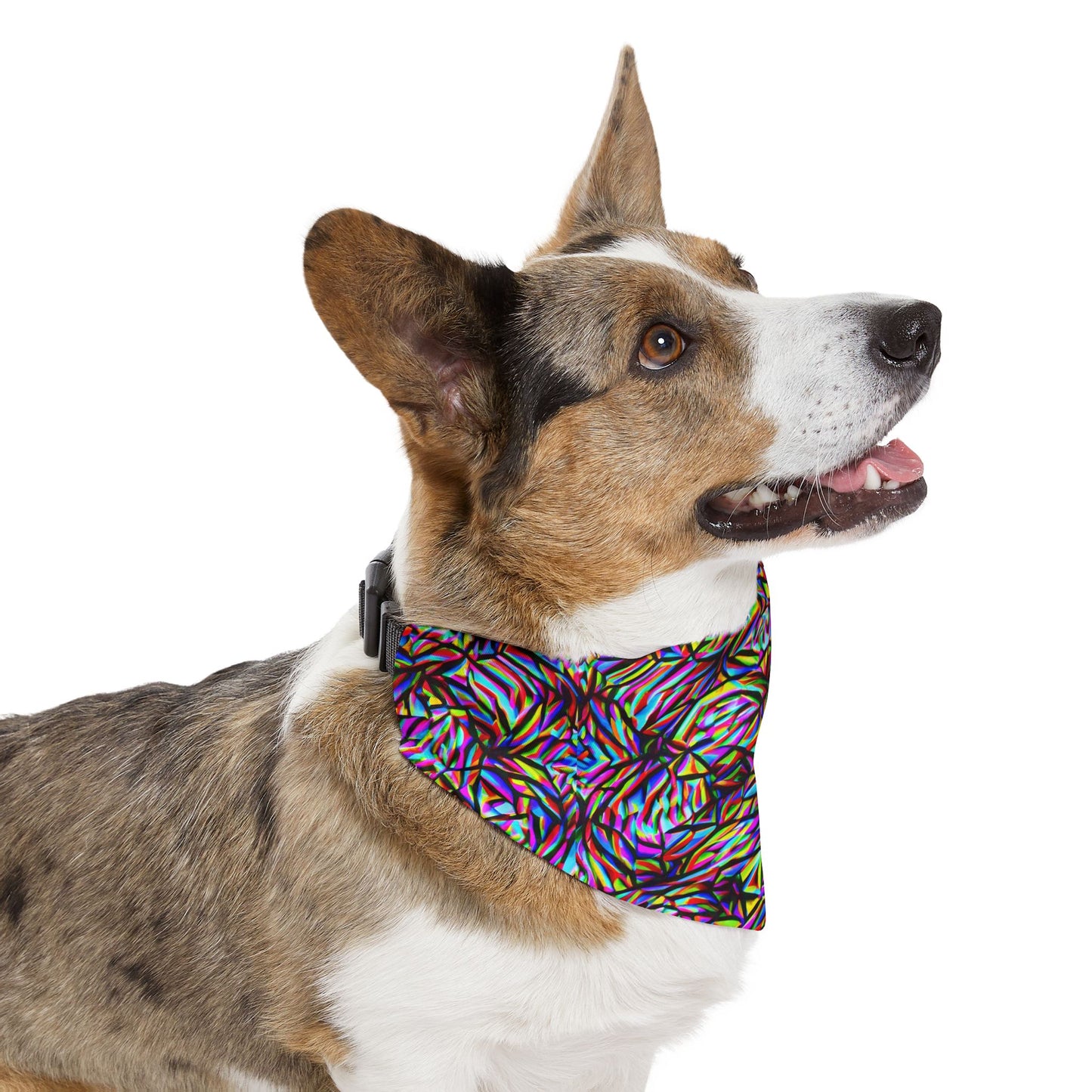 Mind Melt Patterns Pet Bandana Collar