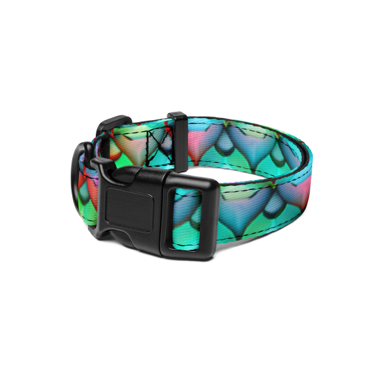 Aqua-Enchant Pet Collar