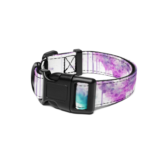 Creative Chaos Pet Collar
