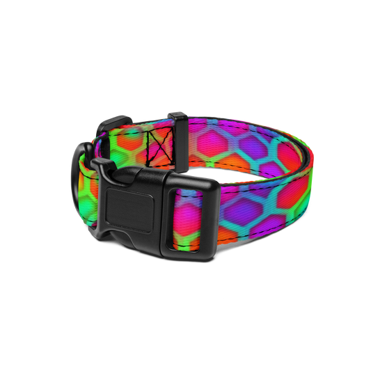 Color Hive Pet Collar