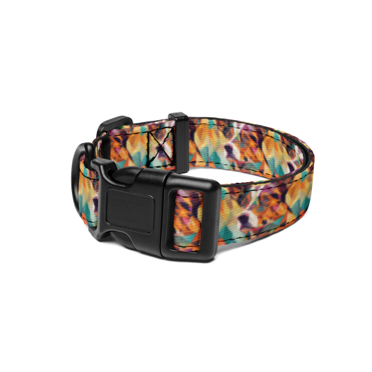 Doggy Dimensions Pet Collar