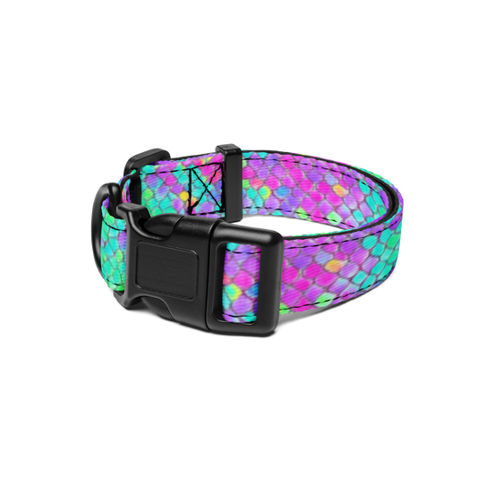 Fluid Fusion Pet Collar