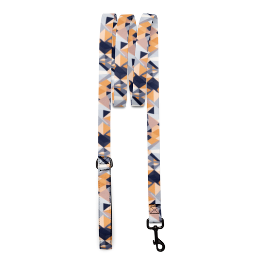 Geometric Groove Pet Lead