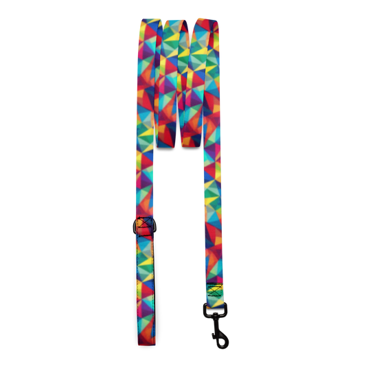 Neon Angles Pet Lead