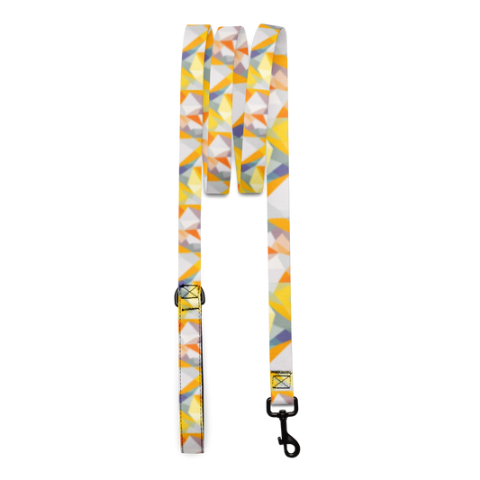 Polygon Prism Pet Lead