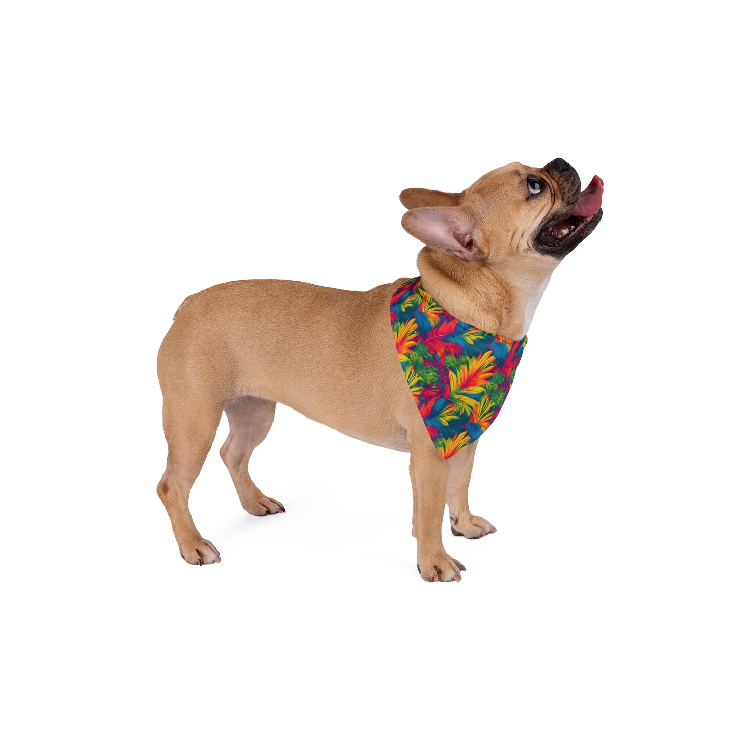 Meadow Melody Pet Bandana