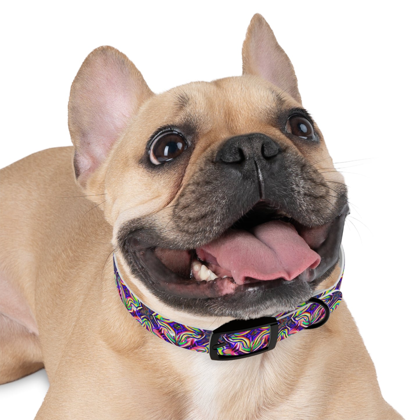 Glow Geo Dog Collar