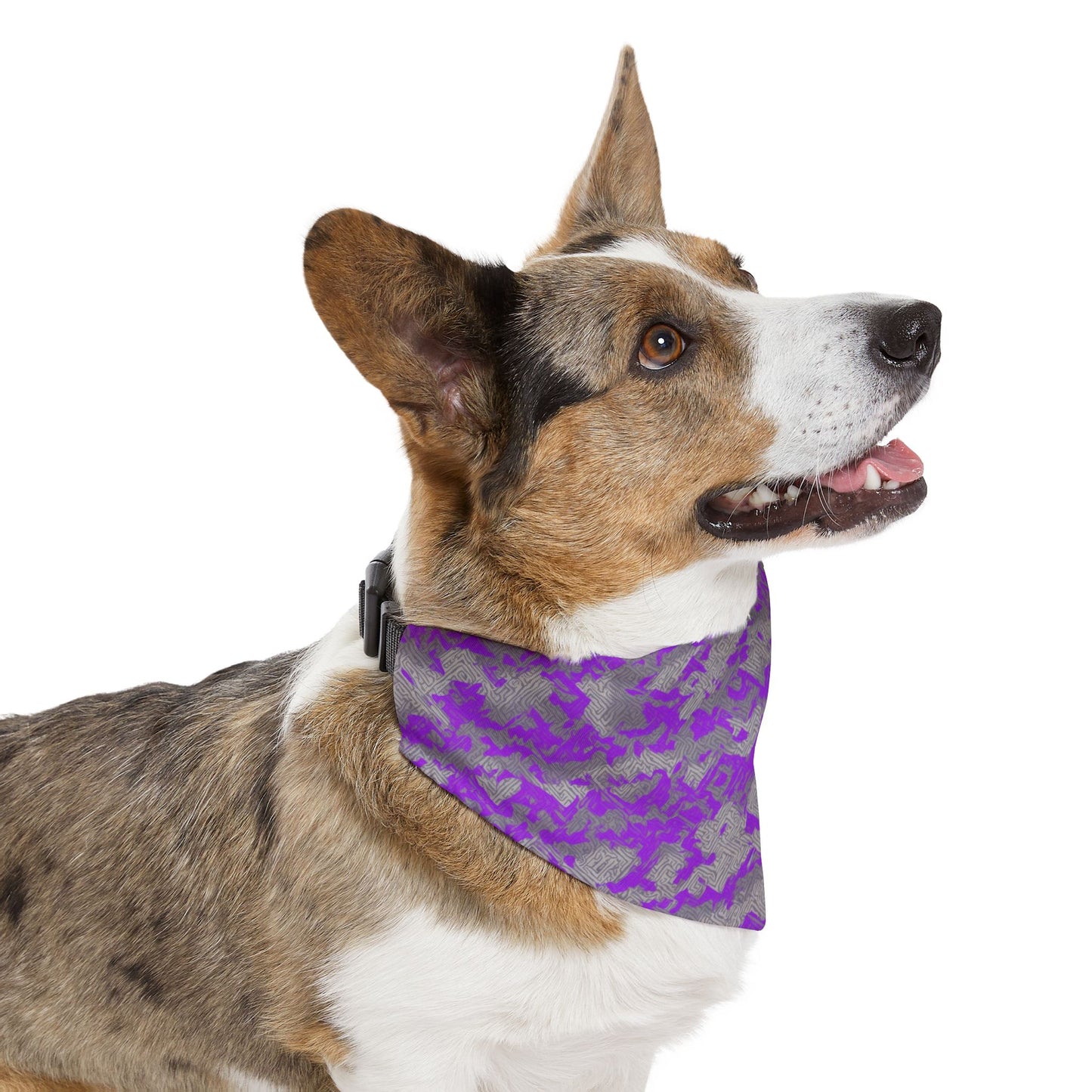 Diamond Dust Pet Bandana Collar