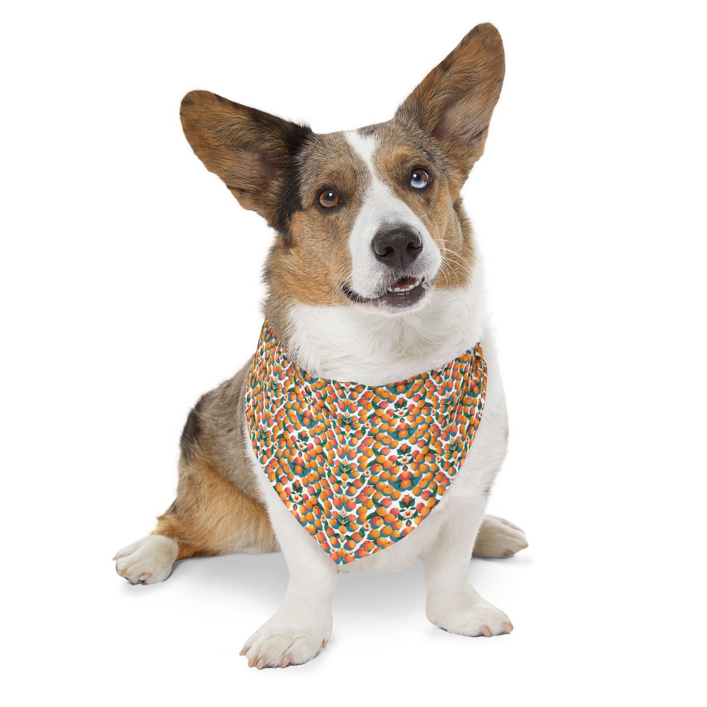 Peachy Keen Pet Bandana Collar