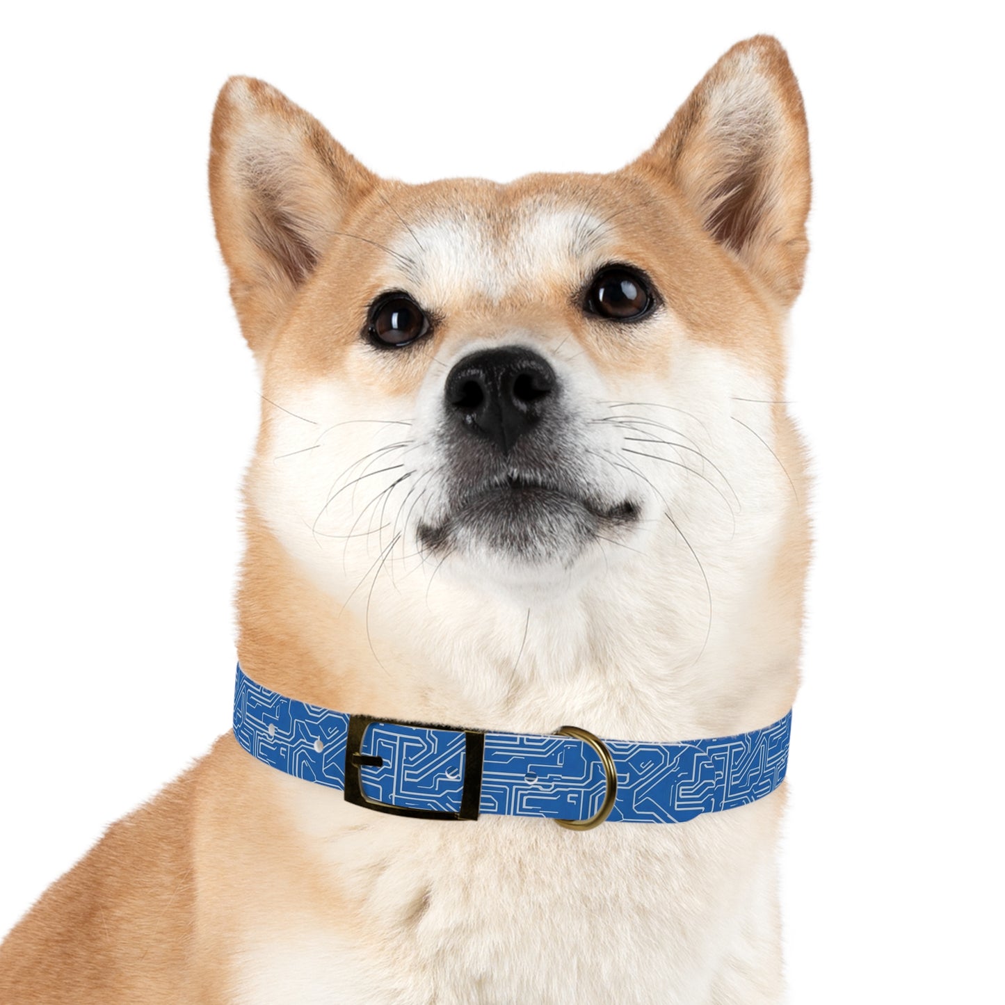 AI Array Dog Collar